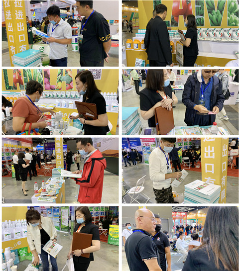 植保會，拉姆拉，翠姆