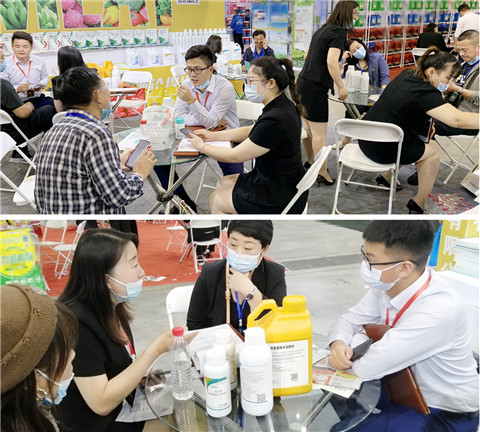 植保會，拉姆拉，翠姆