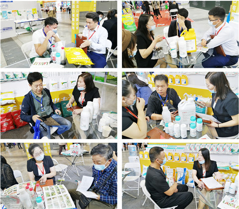 植保會，拉姆拉，翠姆