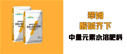 水溶肥，拉姆拉，翠姆