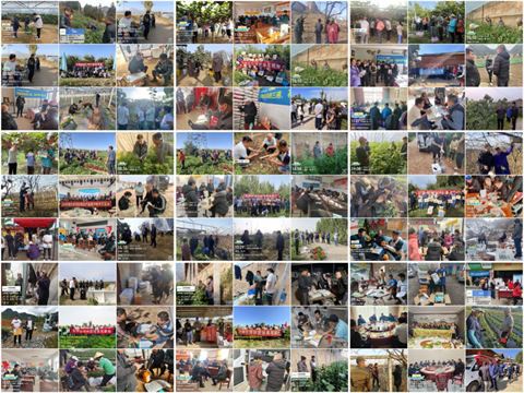 水溶肥廠家,農業(yè)內卷,拉姆拉滴灌級特種肥