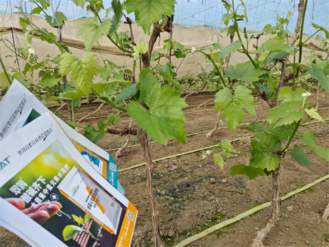 水溶肥,中微量元素,翠姆酸堿齊下