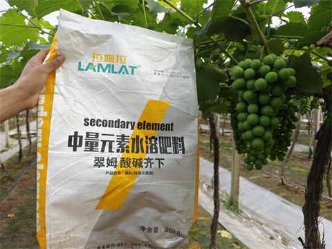 水溶肥,中微量元素,翠姆酸堿齊下